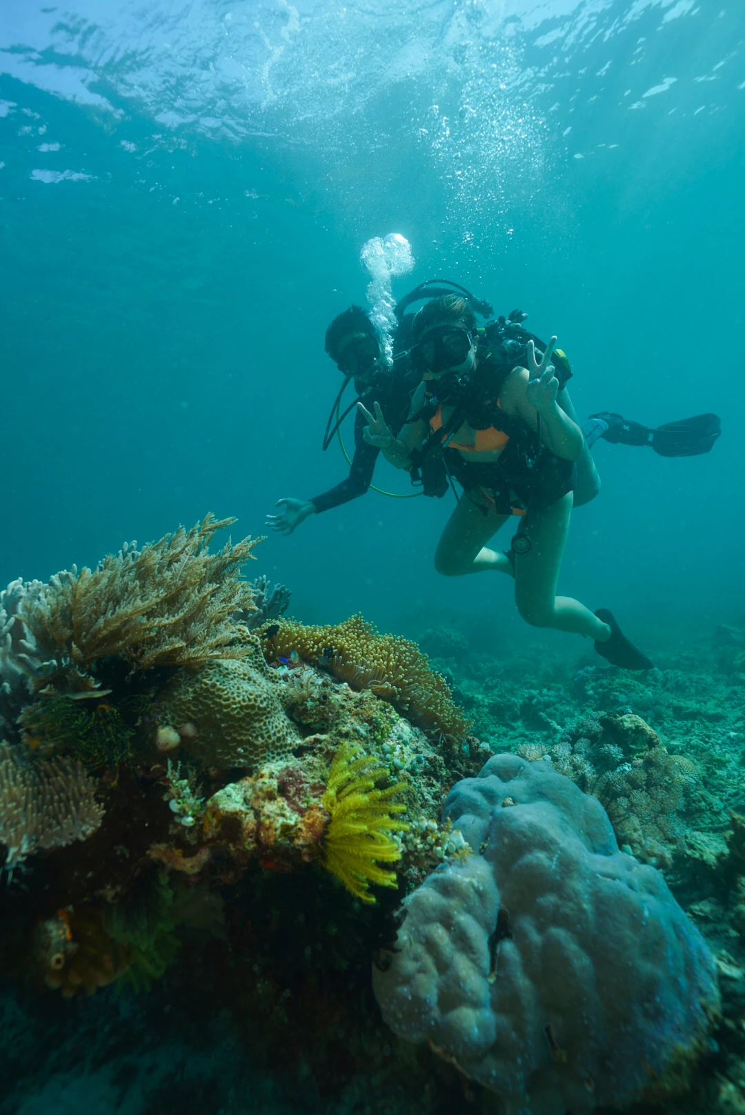 Scuba Diving at Pulisanbay