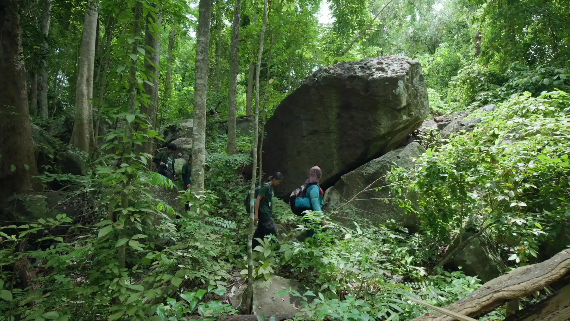 Tropical forest at Pulisanbay