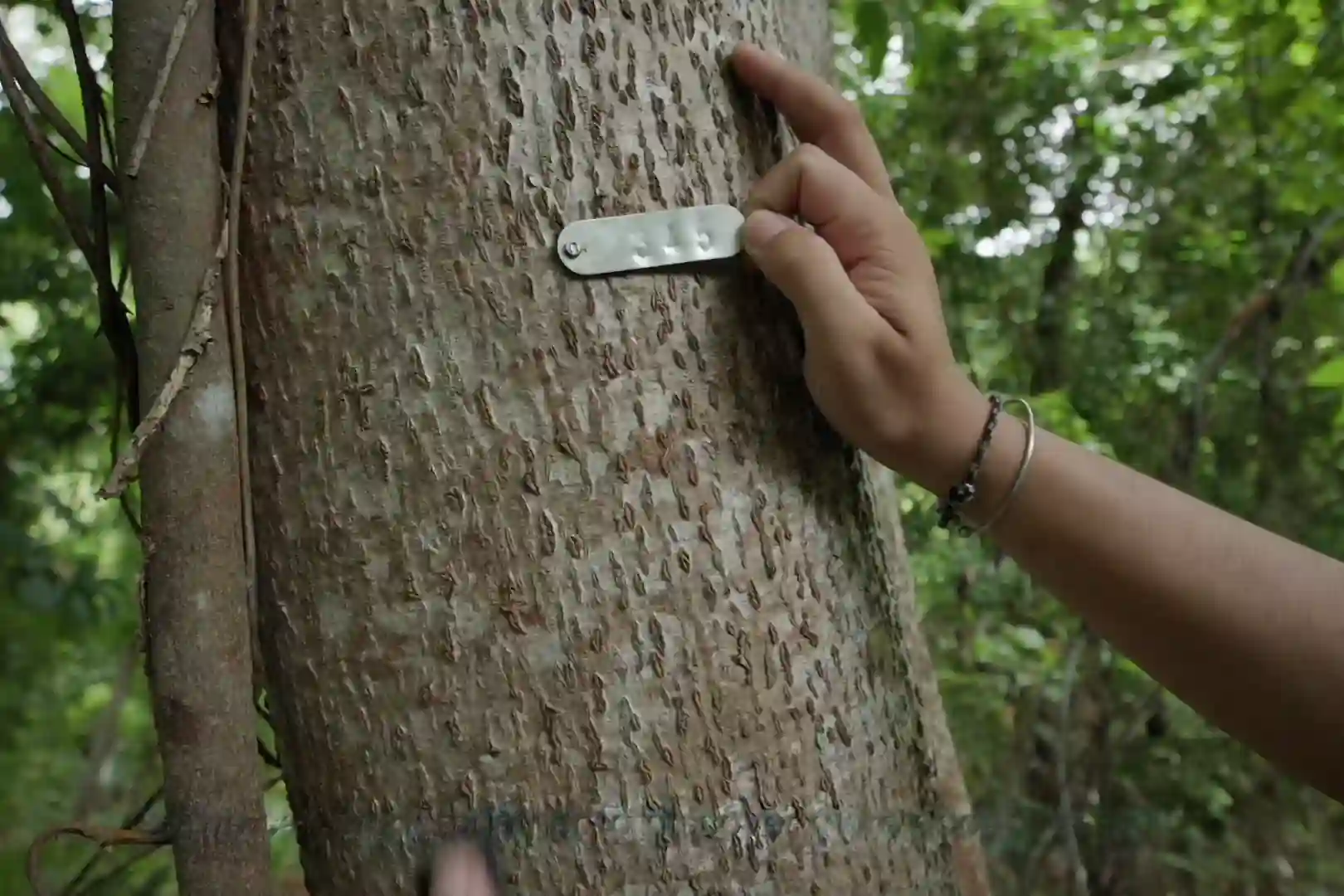 Conservation