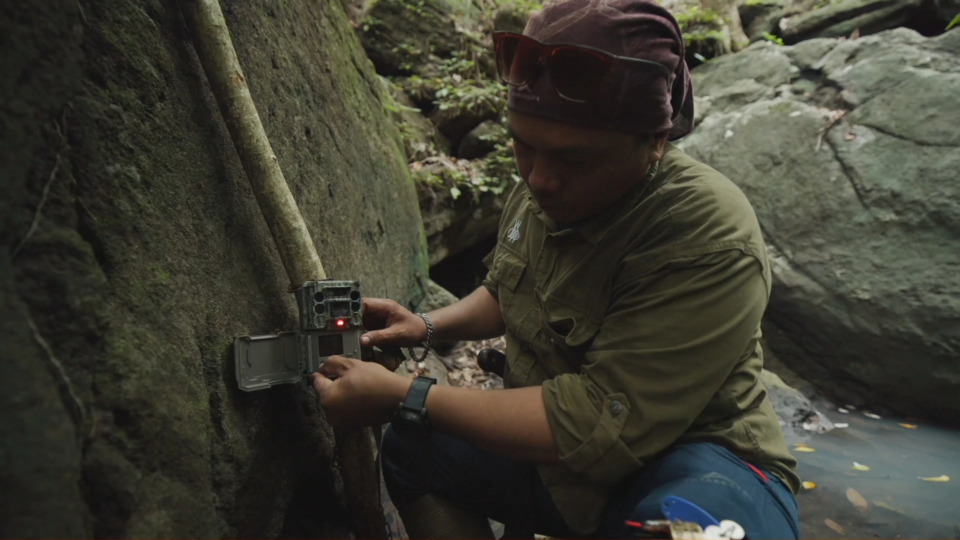 Tree Tagging
