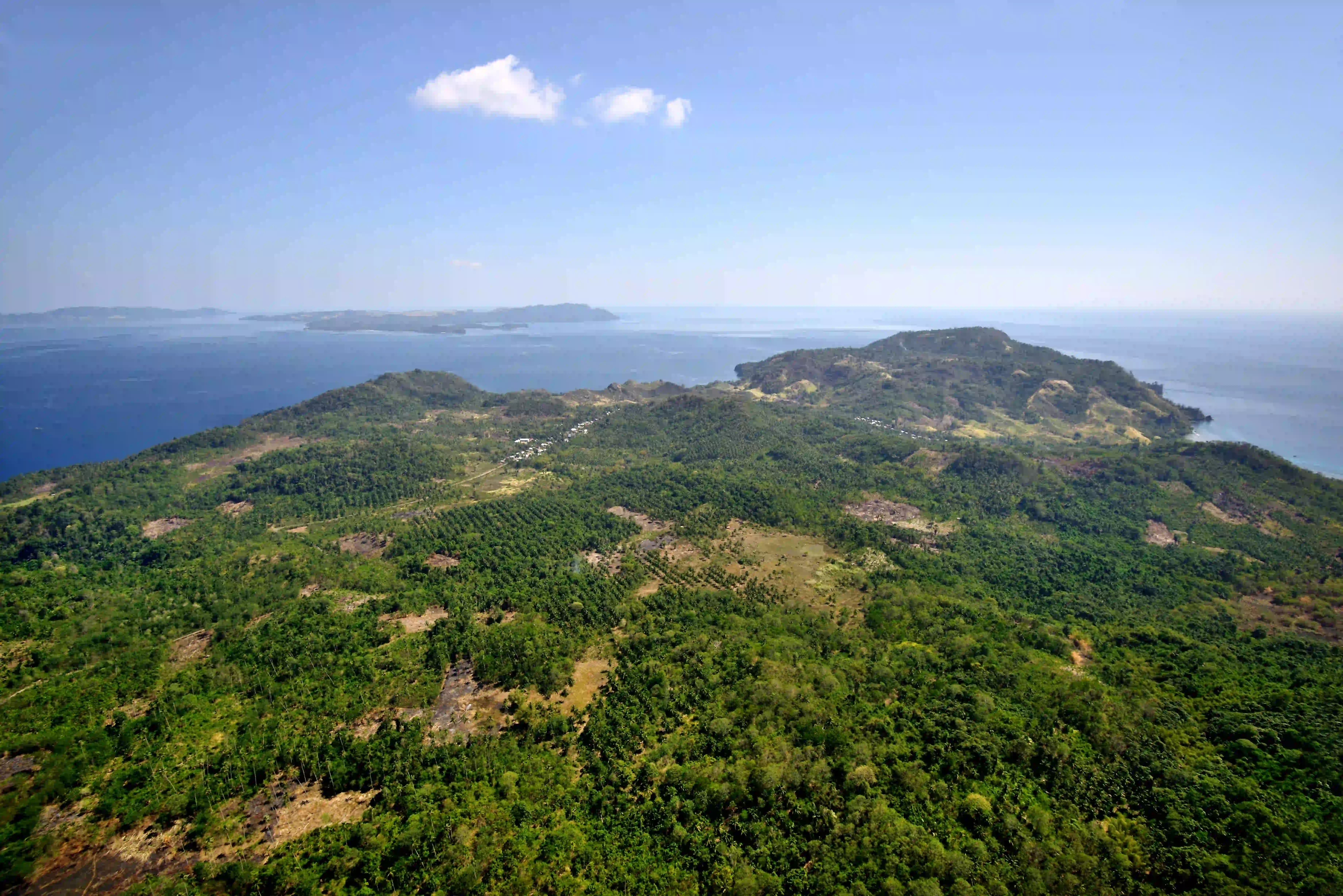 Protected forest at Pulisanbay